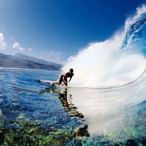 Meet your Posher, Reece